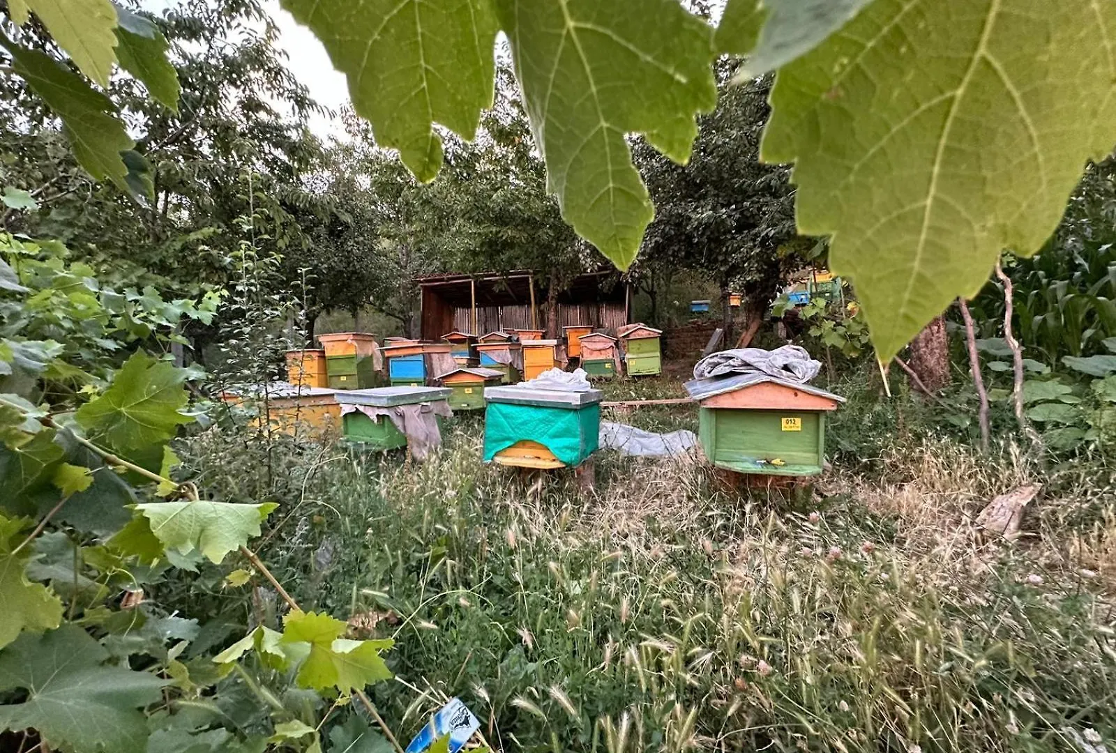 Vila Dervish Cela - Moker Villa Pogradec